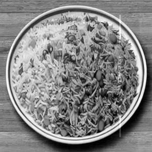 Mixed fried rice