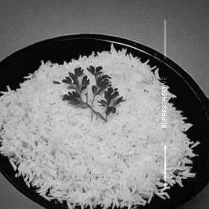 Plain rice