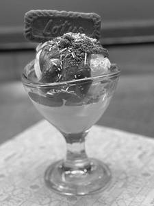 Lotus Sundae