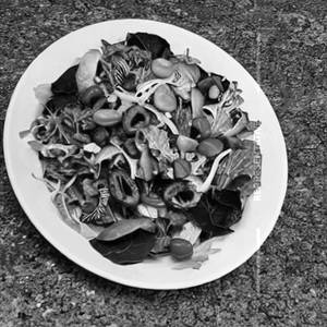 Roasted Soya Salad