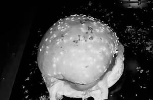 Veg Burger