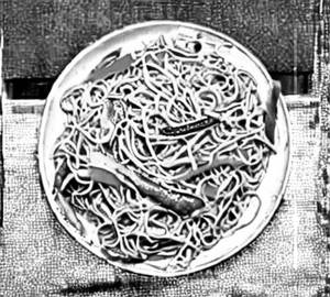 Veg noodles