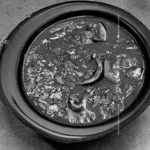 Mushroom Kadai