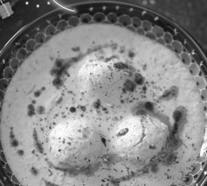 Malai kofta