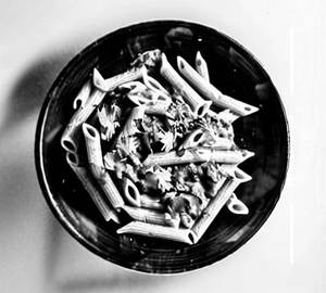 Tandoori pasta