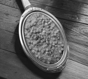 Matar masala
