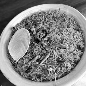 Singapuri Chilli Rice [Fish]