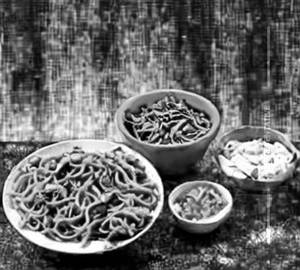 Triple  Noodles  [Chicken]
