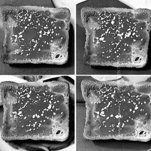 Jam Toast