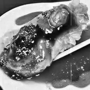 Oyster Sauce [Fish]
