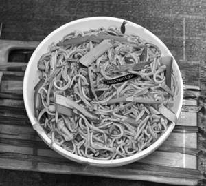Hakka Noodles [Chicken]