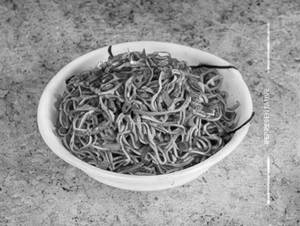 Hakka Noodles