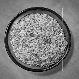 Malaysian Rice [Veg]