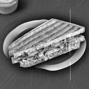 Veg Chutney Sandwich