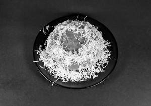 Cheese Burger