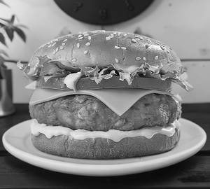 Chicken patty burger [double]