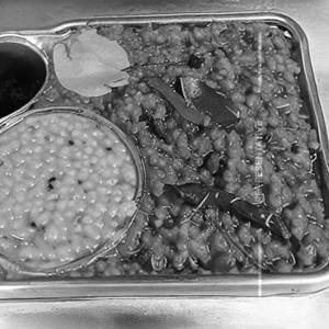 Khandeshi Khichdi