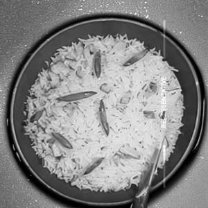 Hong Kong Chilli Rice [Fish]