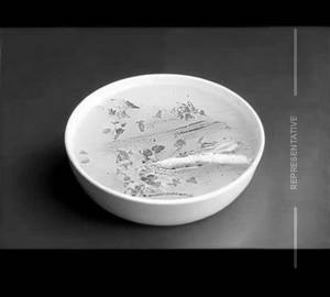 Clear Soup [Fish]
