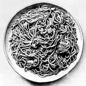 Chopple Noodles [Chicken]