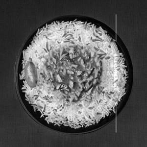 Veg chopper rice