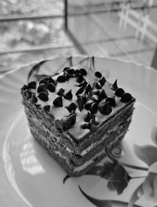 Chocochip Brownie Pastry