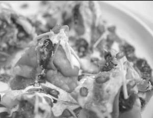 Samosa Chaat