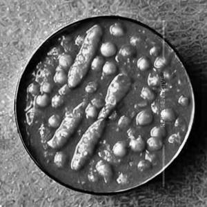 Chole chawal