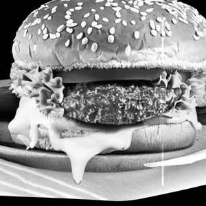 Cheesey burger