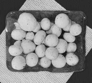Raw Mushroom(1pkd)