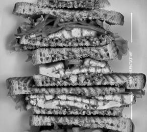 Spicy Paneer Sandwich