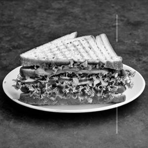 Fully Veggie Sandwich