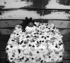 Cassata Eggless Cake (500 Gms)