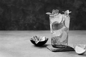 Mint mojito