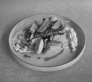 Chicken Shish-touk