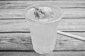 Virgin Mojito