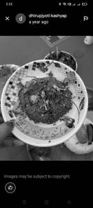 Crab paste