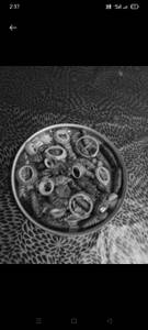 Silkworm fry