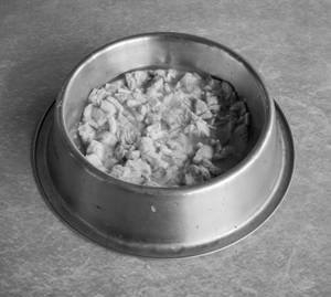 Chicken Soup For Pets