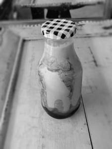 Doubleberry Shake