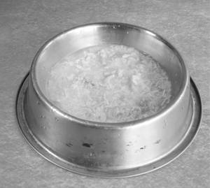 Chicken Rice For Pets