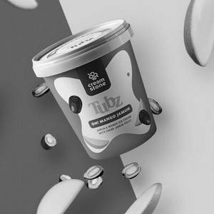 Oh Mango Jamun Tub 600 Ml