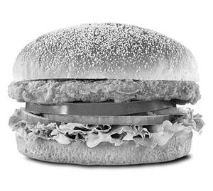 Chatpata Burger with Cheese