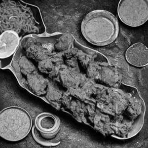 Tandoori Raan