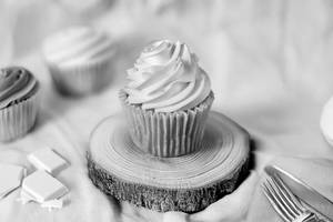 Vanilla Cup Cake Set Of 2