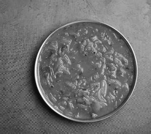 Salad Bhaji