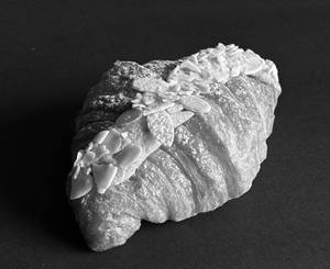 Almond Croissant