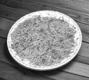Veg Chowmein