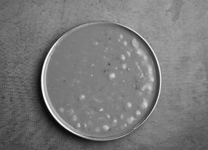 Patal Bhaji