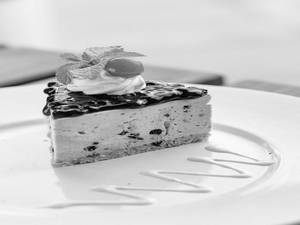 Blueberry Cheese Cake